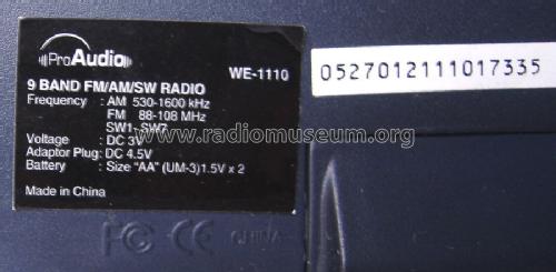 Pro Audio World Band Radio WE-1110; Unknown - CUSTOM (ID = 1608238) Radio