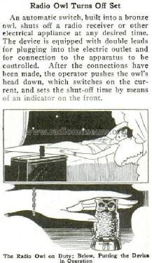 Radio Owl Timer ; Taylor Tubes Inc.; (ID = 1004003) Divers