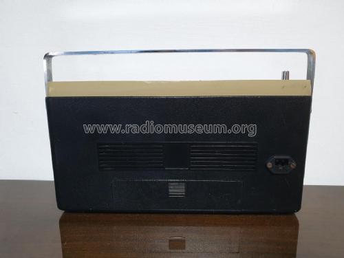 Rili Frolic AM-FM ; Unknown - CUSTOM (ID = 3083932) Radio