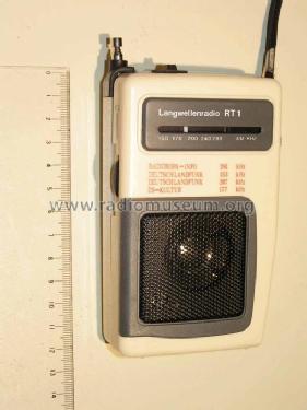 RT1; Unknown - CUSTOM (ID = 321065) Radio