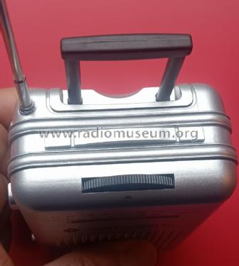 Samsonite Worldproof AM/FM Radio ; Unknown - CUSTOM (ID = 2990927) Radio