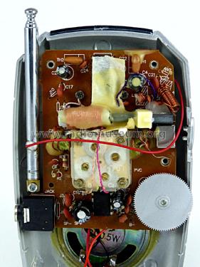 Sentry AM/FM Receiver; Unknown - CUSTOM (ID = 2173293) Radio