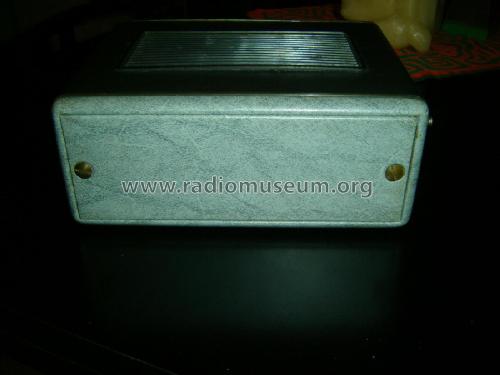 Skini Autoskini TR-9; Unknown - CUSTOM (ID = 2515259) Radio