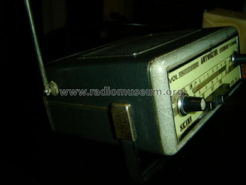 Skini Autoskini TR-9; Unknown - CUSTOM (ID = 2515262) Radio