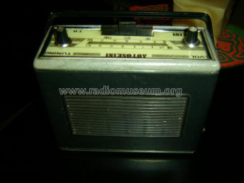 Skini Autoskini TR-9; Unknown - CUSTOM (ID = 2515263) Radio