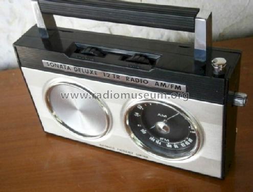 Sonata Deluxe 12 TR Radio AM/FM SF2201; Unknown - CUSTOM (ID = 1080233) Radio