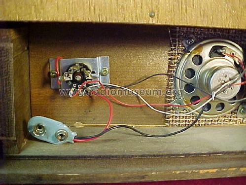 Samsonic Spice Rack AM Transistor Radio ; Unknown - CUSTOM (ID = 1456489) Radio