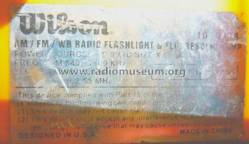 Sports Engineered AM/FM Radio ; Wilson Sporting (ID = 1842461) Radio