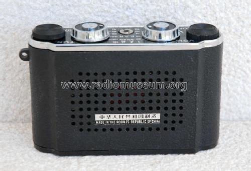 Swan 601A; Unknown - CUSTOM (ID = 1210600) Radio