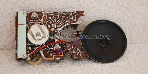 Teleuropa 10 Transistor ; Unknown - CUSTOM (ID = 1834988) Radio