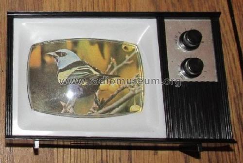 TV Shaped AM Radio G-664; Unknown - CUSTOM (ID = 1780091) Radio