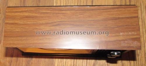 TV Shaped AM Radio G-664; Unknown - CUSTOM (ID = 1780094) Radio