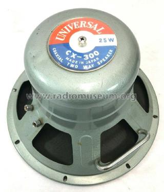 Universal Coaxial Speaker CX-300; Unknown - CUSTOM (ID = 2680643) Speaker-P