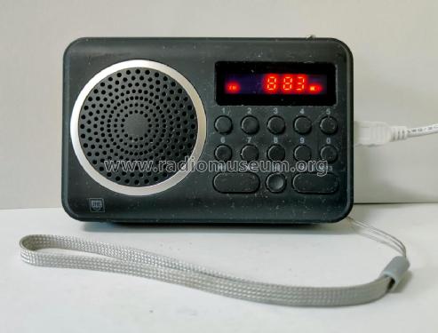 USB SD Digital Radio SHE-TR 202SI; Unknown - CUSTOM (ID = 2949858) Radio