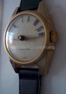 Wrist watch shaped AM radio ; Unknown - CUSTOM (ID = 1356455) Radio