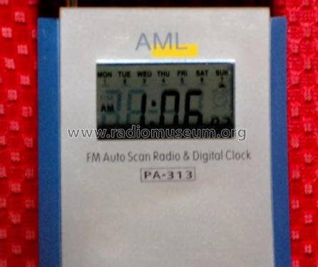 FM Auto Scan Radio & Digital Clock PA-313; Unknown Europe (ID = 2353902) Radio