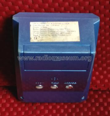 FM Auto Scan Radio & Digital Clock PA-313; Unknown Europe (ID = 2353906) Radio