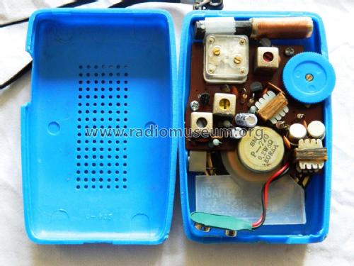 Falina Solid State ; Unknown - CUSTOM (ID = 2335218) Radio