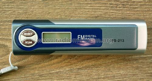 FM Digital Radio PS-213; Unknown to us - (ID = 1800737) Radio