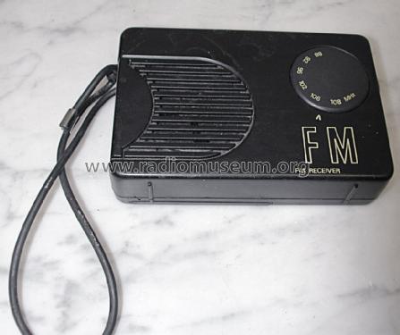 FM Receiver ; Unknown to us - (ID = 1371688) Radio