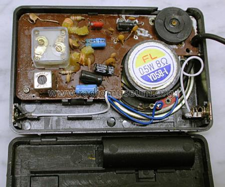 FM Receiver ; Unknown to us - (ID = 1371689) Radio