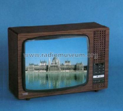 Color Television TS-4316SP; Videoton; (ID = 693067) Television
