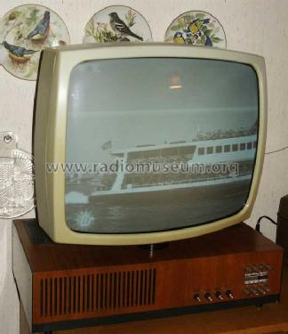 Wegavision 3000L; Wega, (ID = 382214) Television
