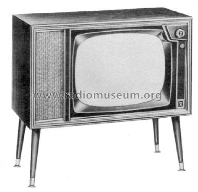 Truetone 2D1834A ; Western Auto Supply (ID = 835887) Television