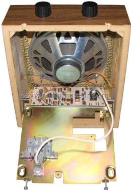 109A Loudspeaker ; Western Electric (ID = 2266915) Altavoz-Au