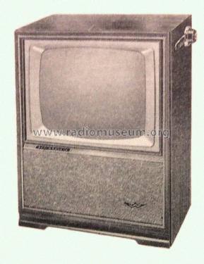 Viewmatic W2311Y; Westinghouse brand, (ID = 2988640) Televisore