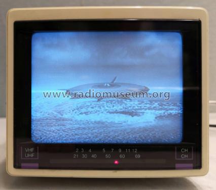 Mini Black & White TV 4,5', Walkvision BW-450; Yoko Electronics, (ID = 2321492) Television