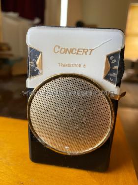 Concert Transistor 6 6YR-15A ; Unknown - CUSTOM (ID = 2685622) Radio