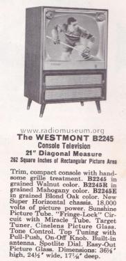 B2245E Ch= 17B20; Zenith Radio Corp.; (ID = 1938838) Television