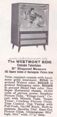 B2245UD Ch= 17B20UD; Zenith Radio Corp.; (ID = 1939218) Television