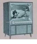 D3002E, R, W, D3004E, R, W Ch= 16D21Q; Zenith Radio Corp.; (ID = 2371566) Fernseh-E