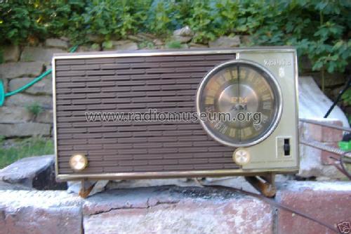 X316J Ch= 7N02; Zenith Radio Corp.; (ID = 428820) Radio