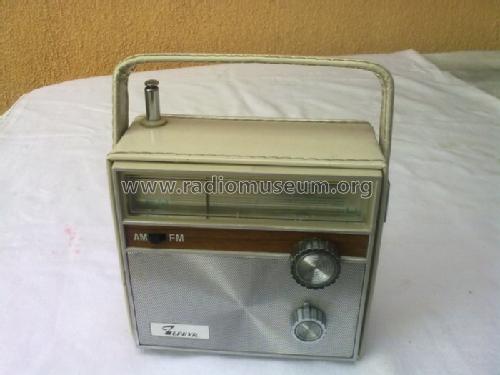 9 Transistor Portable AM/FM Radio ; Zephyr Co., Ltd.; (ID = 1702636) Radio
