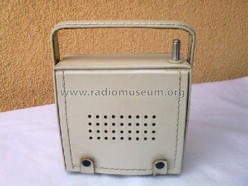 9 Transistor Portable AM/FM Radio ; Zephyr Co., Ltd.; (ID = 1702638) Radio