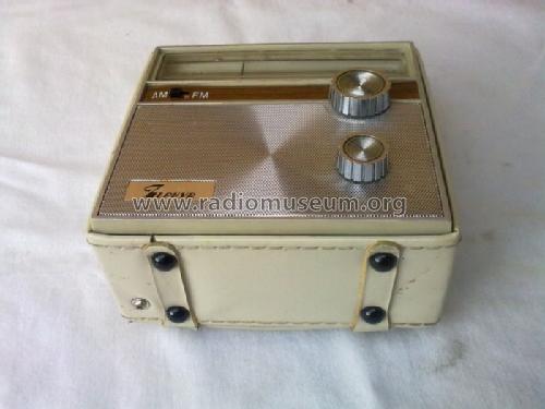 9 Transistor Portable AM/FM Radio ; Zephyr Co., Ltd.; (ID = 1702639) Radio