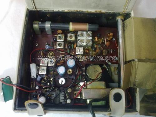 9 Transistor Portable AM/FM Radio ; Zephyr Co., Ltd.; (ID = 1702644) Radio