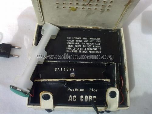 9 Transistor Portable AM/FM Radio ; Zephyr Co., Ltd.; (ID = 1702650) Radio
