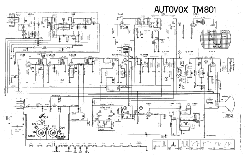 TM801; Autovox SPA; Roma (ID = 2788700) Television