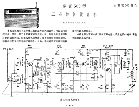 Kuihua 葵花 503; Beijing 北京朝阳区无线电厂 (ID = 814363) Radio