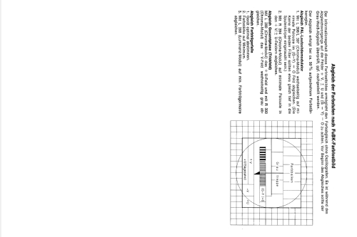 Farbfernsehchassis FM 100K; Blaupunkt Ideal, (ID = 1981045) Television