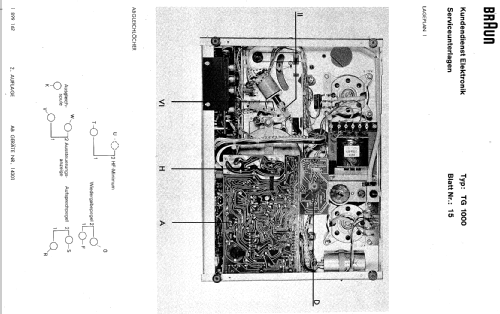 TG1000; Braun; Frankfurt (ID = 488057) Reg-Riprod