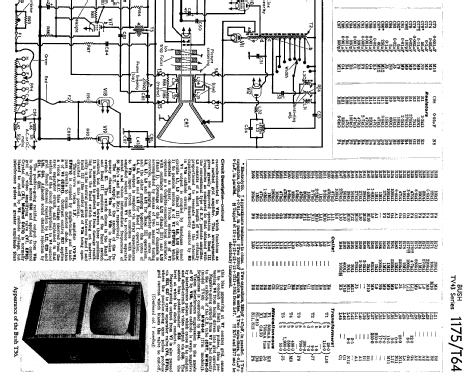 TV43; Bush Radio Ltd.; (ID = 1052577) Television