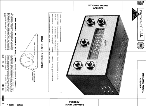 AF250PA ; Dynamic Electronics (ID = 611257) Radio