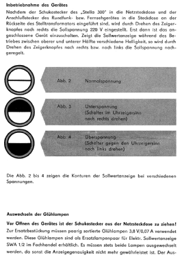 Stella 300; Funke, Max, Weida/Th (ID = 2981298) Aliment.