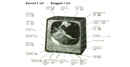 Burggraf F241; Graetz, Altena (ID = 1691682) Television