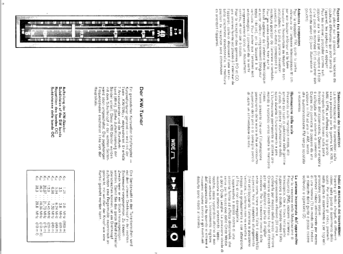 Satellit Amateur 210; Grundig Radio- (ID = 647017) Radio